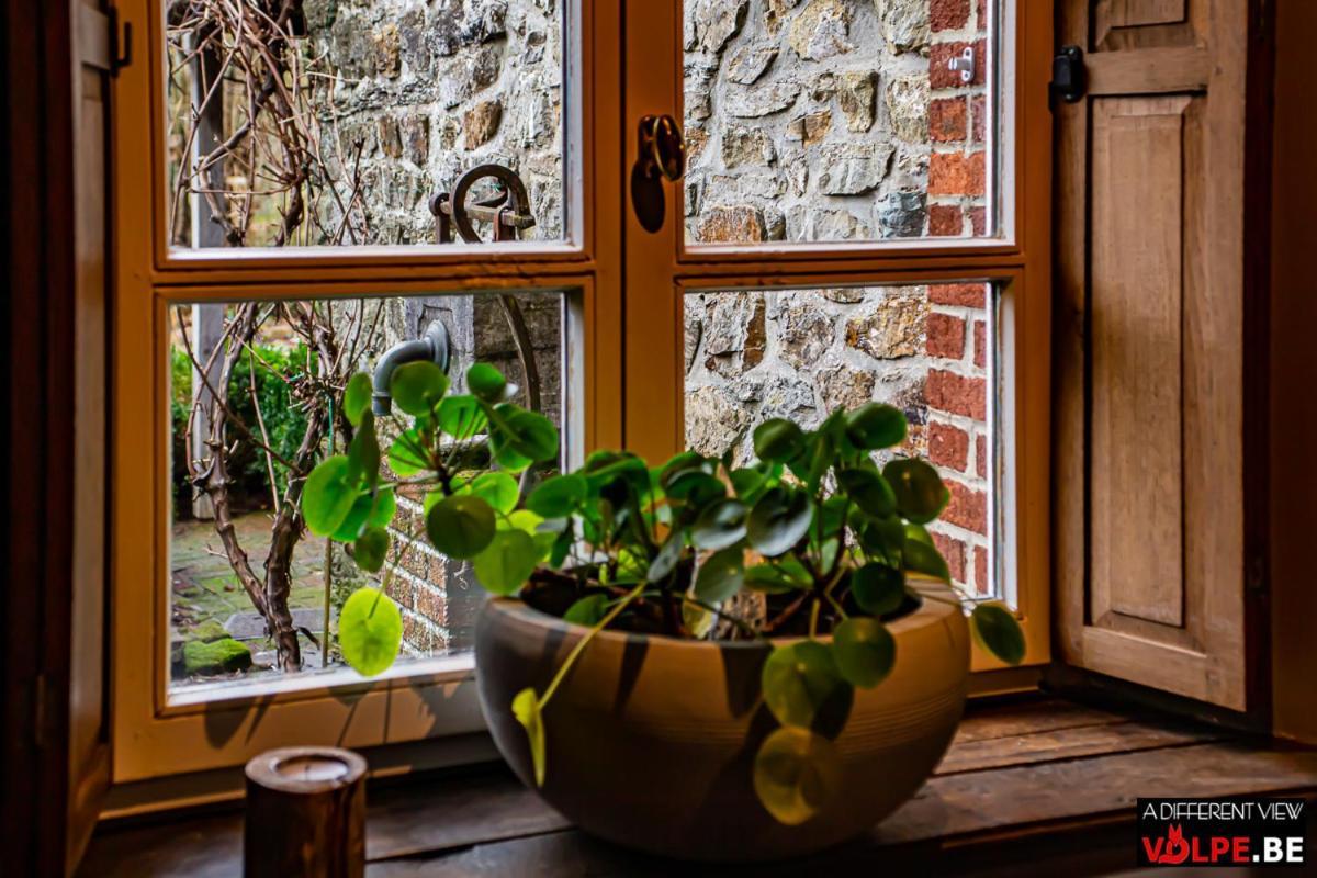 B&B Le Secret Du Bois Bourseigne-Vieille 外观 照片